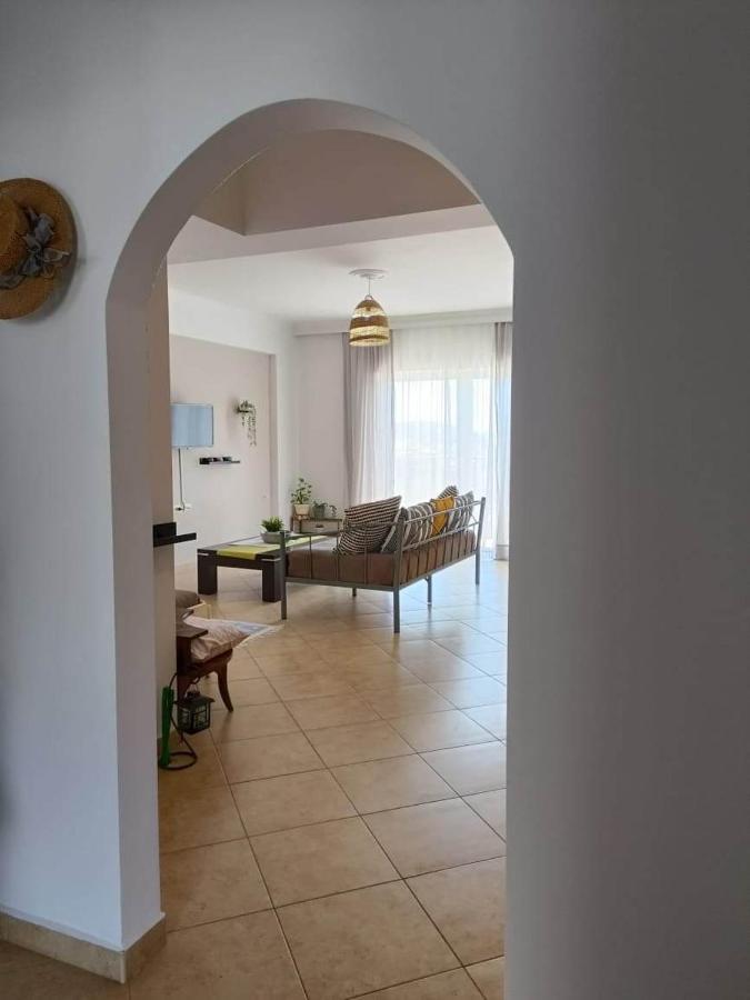 Aloe Vera Apartment